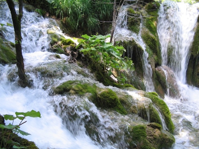 Il movimento dell''acqua